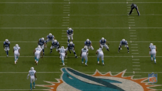 Hasselbeck #3.gif